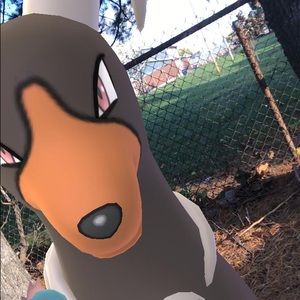 Meet your Posher, Marco